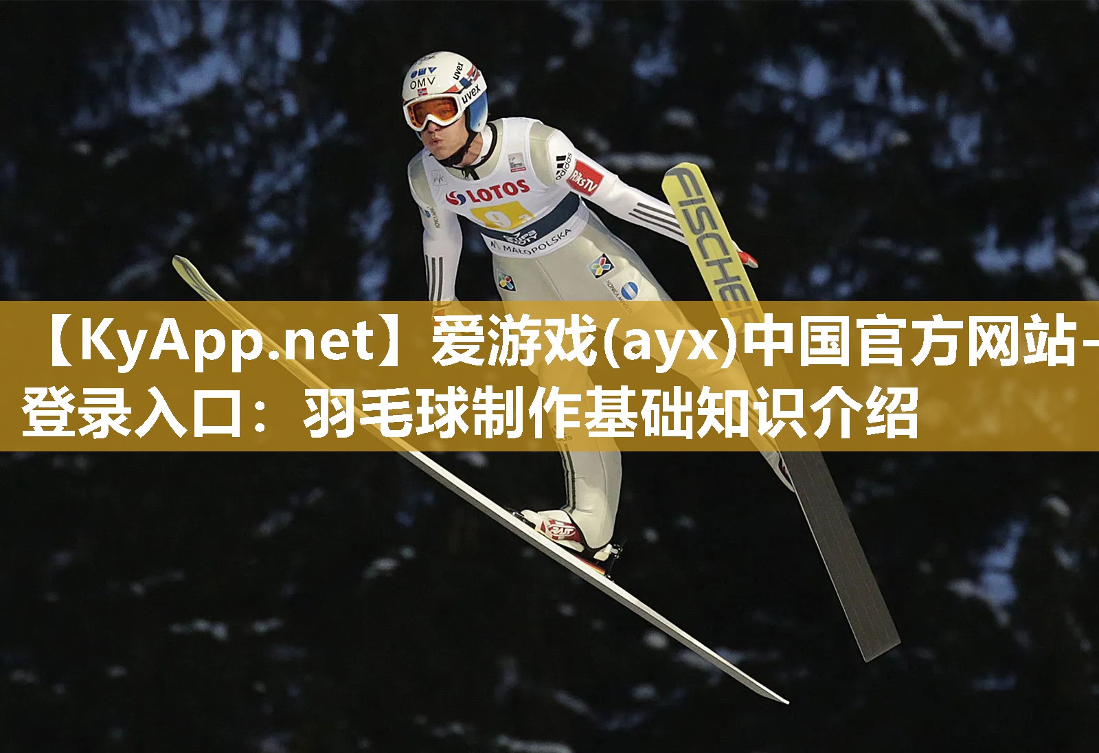 爱游戏(ayx)中国官方网站-登录入口：羽毛球制作基础知识介绍