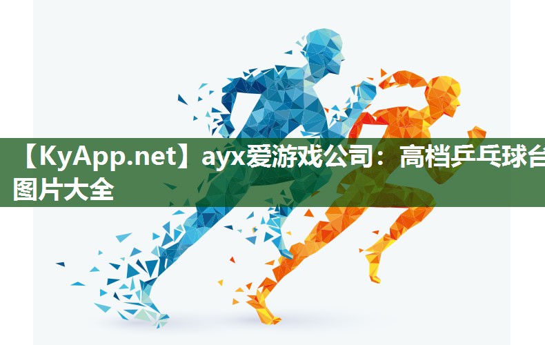 ayx爱游戏公司：高档乒乓球台图片大全