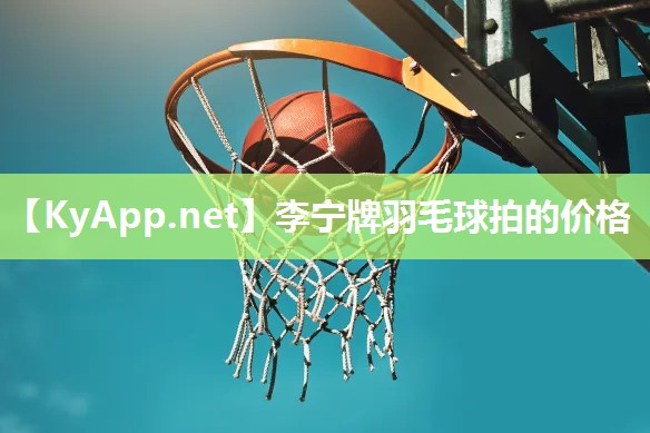 李宁牌羽毛球拍的价格