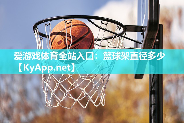 爱游戏体育全站入口：篮球架直径多少