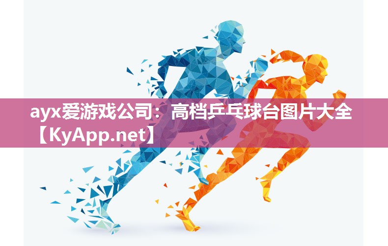高档乒乓球台图片大全 高档乒乓球台图片大全